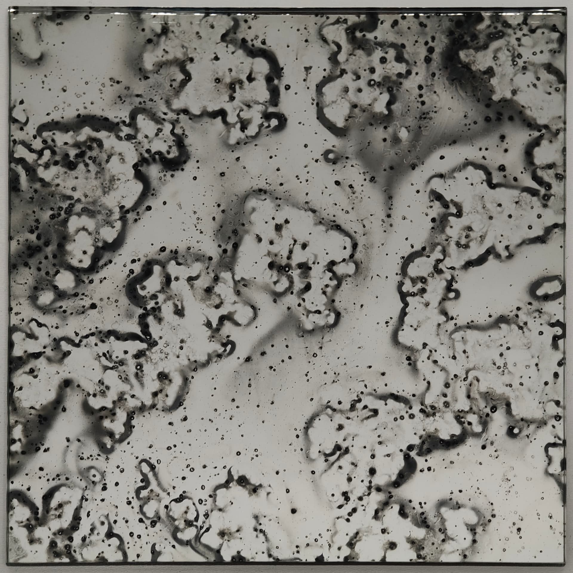 Atlas mirror panel with bold map-like dark antique patterning